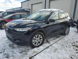 2024 Ford Escape Active en venta en Wayland, MI