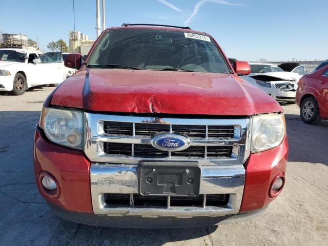 2011 Ford Escape Limited