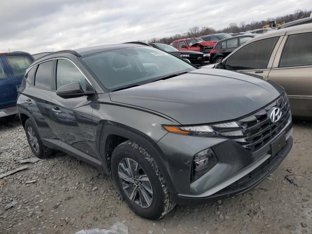 2023 Hyundai Tucson Blue