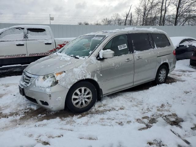 2008 Honda Odyssey EXL