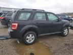 2011 Ford Escape XLS