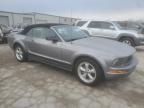 2006 Ford Mustang