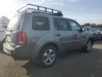 2013 Honda Pilot EXL