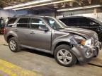 2009 Ford Escape Limited