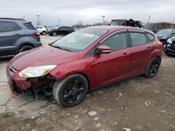 Salvage cars for sale at Indianapolis, IN auction: 2013 Ford Focus SE