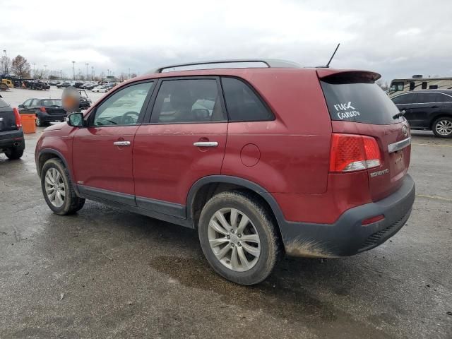 2011 KIA Sorento EX