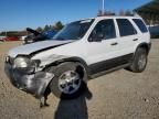 2004 Ford Escape XLT