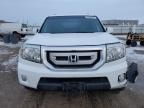 2009 Honda Pilot EXL