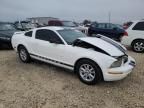 2005 Ford Mustang