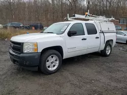 Salvage trucks for sale at Baltimore, MD auction: 2010 Chevrolet Silverado C1500 Hybrid