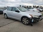 2010 Honda Accord EX