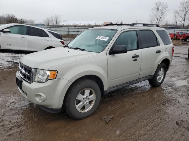 2009 Ford Escape XLT