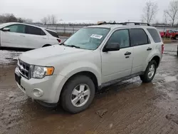 2009 Ford Escape XLT en venta en Columbia Station, OH