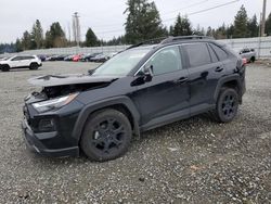 Salvage cars for sale from Copart Graham, WA: 2023 Toyota Rav4 TRD OFF Road