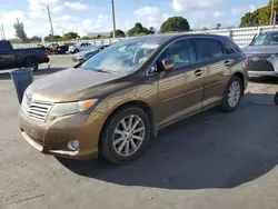 Salvage cars for sale at Miami, FL auction: 2010 Toyota Venza