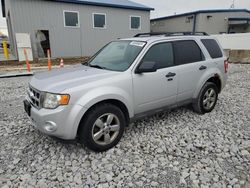 Salvage cars for sale at Barberton, OH auction: 2012 Ford Escape XLT