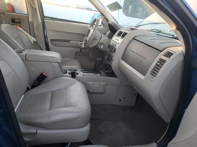 2008 Ford Escape XLT