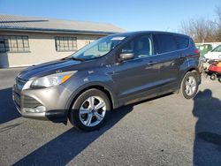 Salvage cars for sale from Copart Grantville, PA: 2014 Ford Escape SE