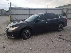 Salvage cars for sale at Lawrenceburg, KY auction: 2017 Nissan Altima 2.5