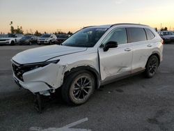 Salvage cars for sale at Rancho Cucamonga, CA auction: 2024 Honda CR-V SPORT-L