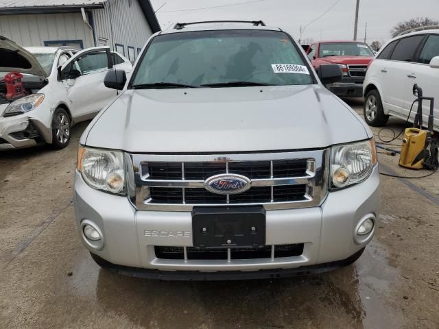 2009 Ford Escape XLT