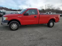 Salvage cars for sale at Assonet, MA auction: 2010 Ford F150