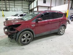 Salvage cars for sale at Lawrenceburg, KY auction: 2014 Ford Escape SE