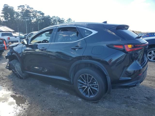 2024 Lexus NX 250 Premium