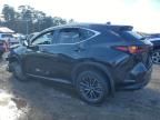 2024 Lexus NX 250 Premium