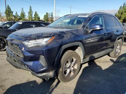 Salvage cars for sale at Rancho Cucamonga, CA auction: 2022 Toyota Rav4 XLE