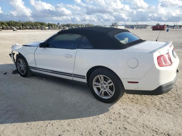 2010 Ford Mustang