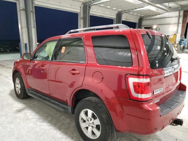 2009 Ford Escape Limited