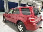 2009 Ford Escape Limited