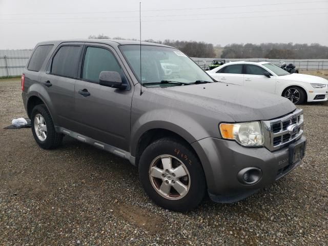 2012 Ford Escape XLS