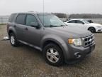 2012 Ford Escape XLS