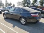 2008 Toyota Camry Hybrid