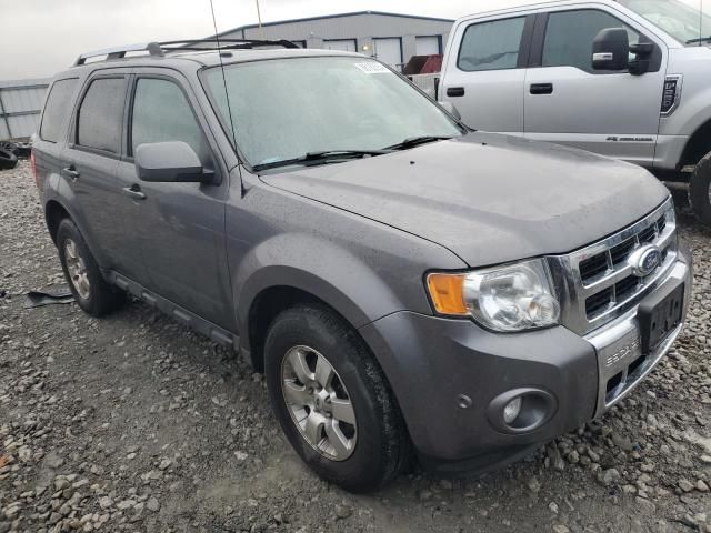 2011 Ford Escape Limited