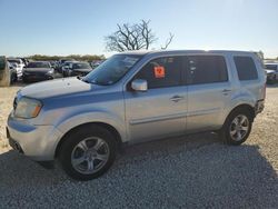 Salvage cars for sale at San Antonio, TX auction: 2014 Honda Pilot Exln