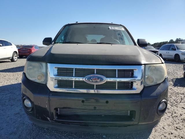 2008 Ford Escape Limited