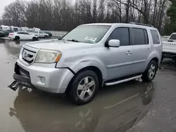 Salvage cars for sale at Glassboro, NJ auction: 2011 Honda Pilot EXL