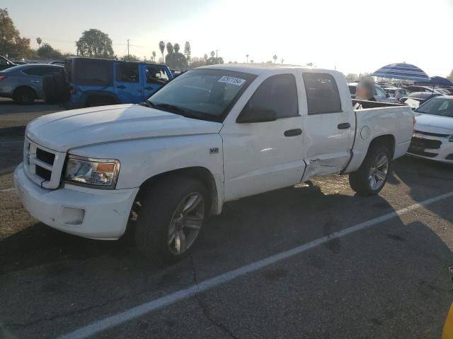 2011 Dodge Dakota SLT