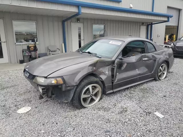 2003 Ford Mustang