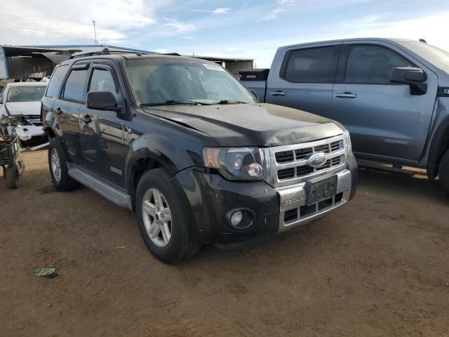 2008 Ford Escape HEV