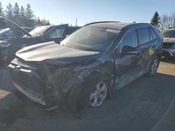 Salvage cars for sale from Copart Ontario Auction, ON: 2019 Toyota Rav4 LE