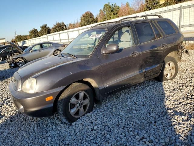 2006 Hyundai Santa FE GLS