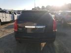 2010 Cadillac SRX Premium Collection