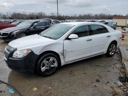 2010 Chevrolet Malibu 1LT en venta en Louisville, KY