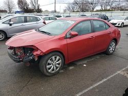 Salvage cars for sale at Moraine, OH auction: 2014 Toyota Corolla L