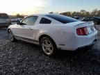 2010 Ford Mustang