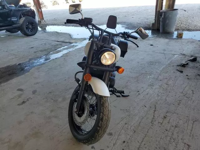 2019 Honda VT750 C2B